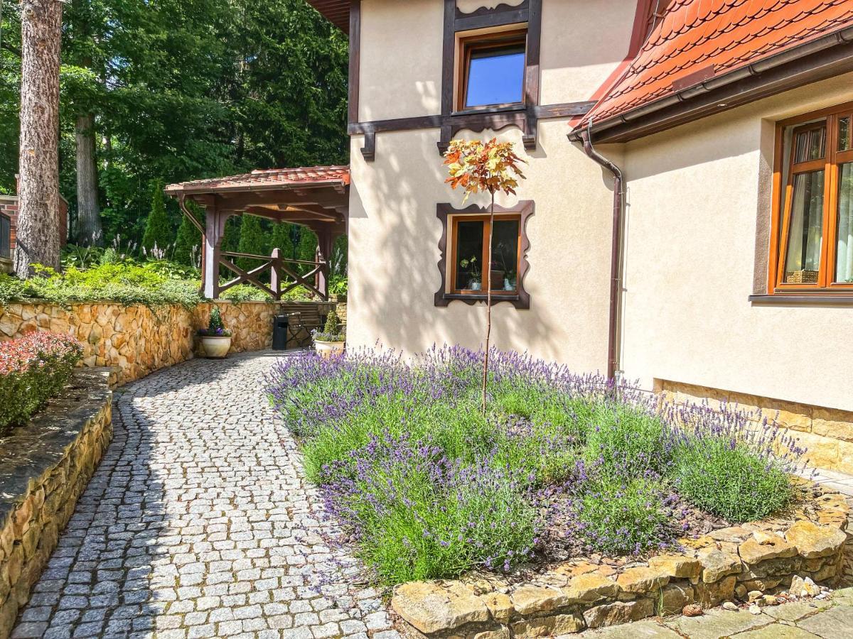Villa Filmowiec โปลานิซา-สดรอยจ์ ภายนอก รูปภาพ