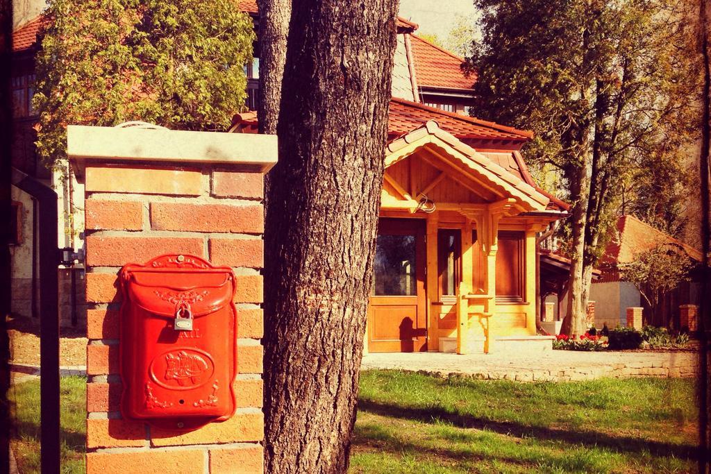 Villa Filmowiec โปลานิซา-สดรอยจ์ ภายนอก รูปภาพ